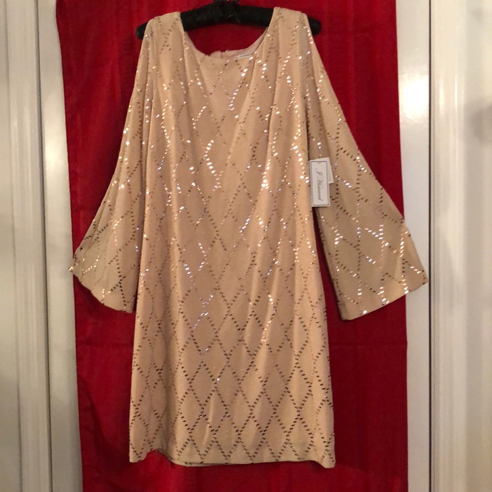 Elegant Champagne Bat-Sleeved Evening Dress